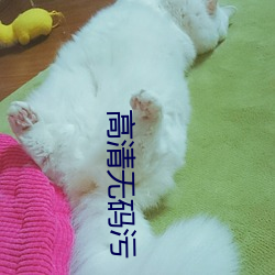 高清無碼汙