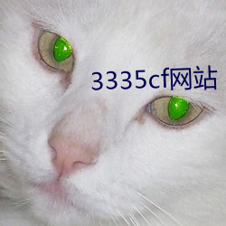 3335cf網站