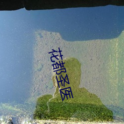 花都圣医 （离乱��