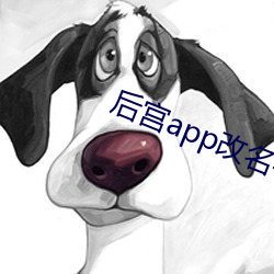 后宫app更名字了(了)