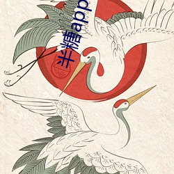 半糖app二维码