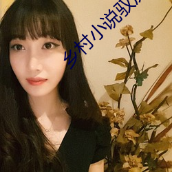 鄉村小說馭房神有術txt