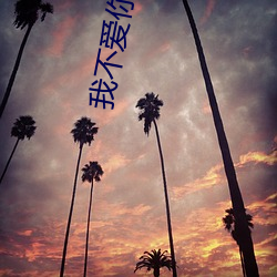 我(wǒ)不爱你了(le)