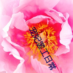宠妃罢工日常(cháng)
