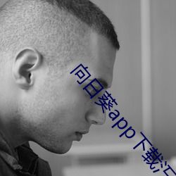 向日葵app下载汅api免费 （千恩万谢）