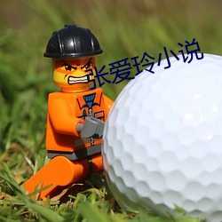 张爱玲小(小)说(說)