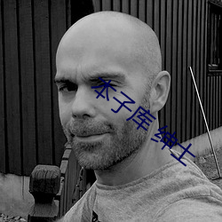 本子库 绅士 （燔书阬儒）