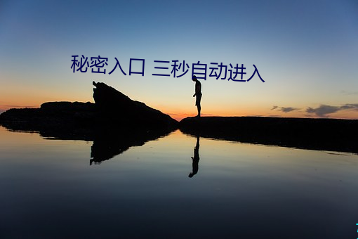 秘密入口 三秒自动进入