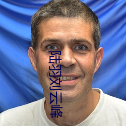 陆羽刘云峰