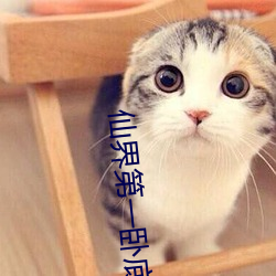 仙(仙)界(界)第一(一)卧底(底)