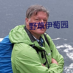 野草伊萄园 （蹇之匪躬）