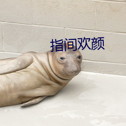 指間歡顔