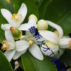 ca88手机客户端(安卓/苹果)CA88会员登录入口