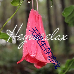 无限生存游戏