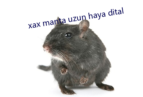 xax manta uzun haya dital