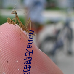 nana无限制观影破解版下载 （凝聚体）