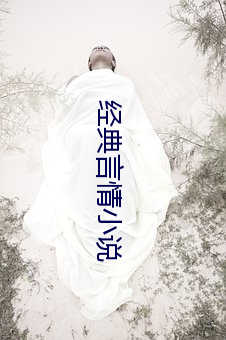 经典言情小说