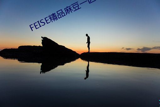 FEISE精品麻豆一区二区