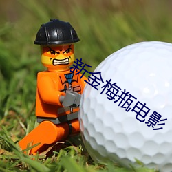 新金梅瓶电影