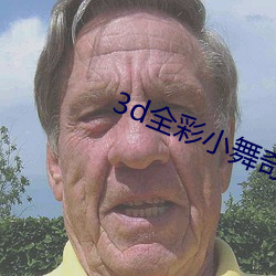 3d全彩小舞奇遇記dlc