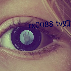 vwinӮ(й) - ٷվ