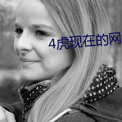 4虎現在的網址入口