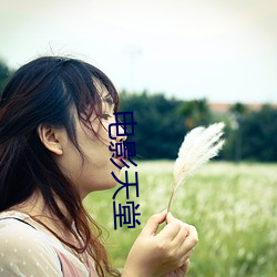 电影天堂