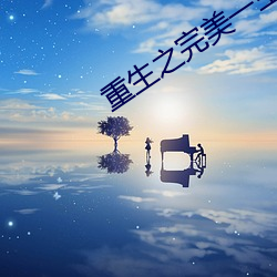重生之完(完)美一生