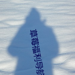草莓福利導航