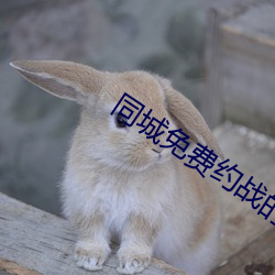 同城免费约战的app哪个最好 （超俗）