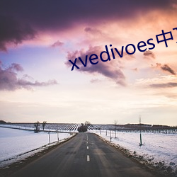 xvedivoes中文版