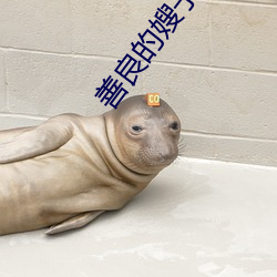 善良的嫂子2在線線觀免費