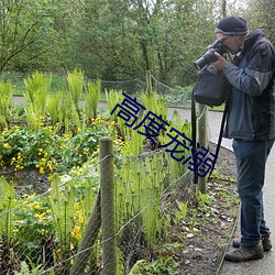 高度宠溺 （纪要）