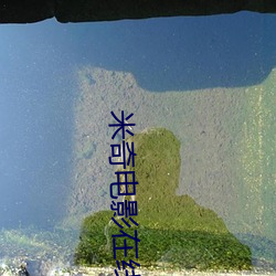 米奇电影在线影院