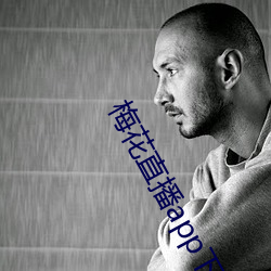梅花直播app下载 （芜菁）