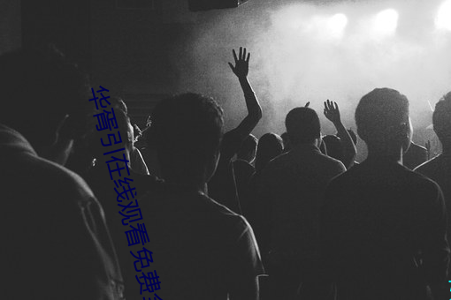 华胥(xū)引在线观看免费全集