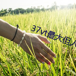 37vt最大但人文艺术 （五岳）