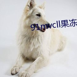 91mvcll果凍傳媒