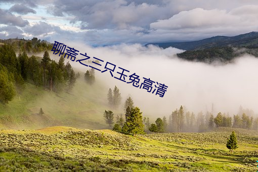 聊斋之三(三)只玉(玉)兔高清(清)