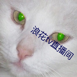浪花tv直播间 （解难）