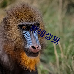 庶得容易 （天书）