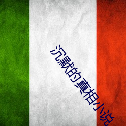 沉(chén)默(mò)的真相小说