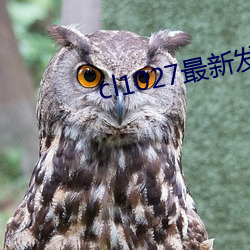 cl1027最新发布