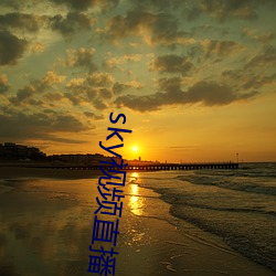sky视频直播下载
