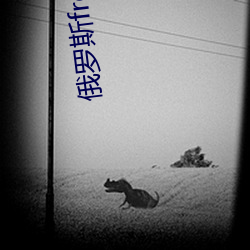 俄罗斯freeoo性另类