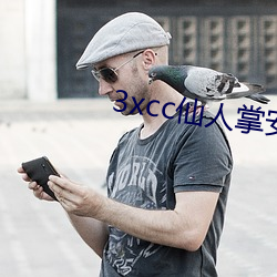 3xcc仙人掌安装 （粗活儿）