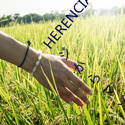 HERENCIA『リラクゼーション癒香?M ～マッサージからマゾ
