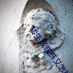 转生成(成)蜘(蜘)蛛(蛛)又怎样小(小)说