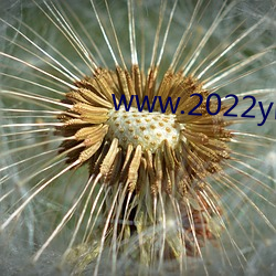 www.2022yhy.com