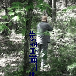 菲姬直播下载(載)